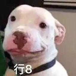 娱乐圈吃瓜微信公众号,吃瓜群众必看幕后真相！